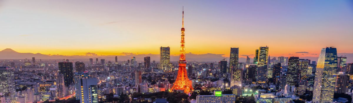 東京タワー：世界最大都市のパノラマビュー