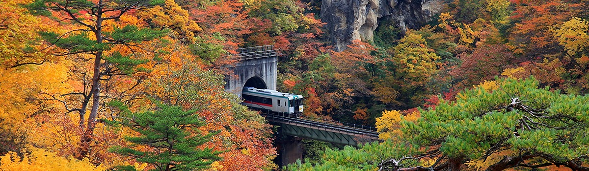 東北・新潟で乗りたいローカル路線と観光列車8選｜北日本の車窓