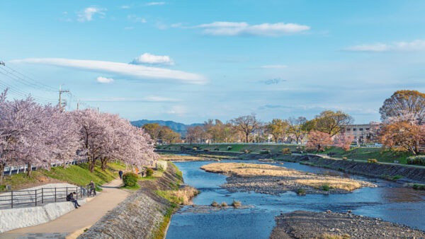 Intipati Kerohanian Kyoto: Perjalanan Melalui Kuil dan Tempat Suci Purbanya