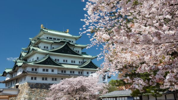 Nagoya pada musim bunga: Tompok Sakura dan Perayaan Bermusim