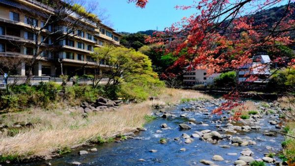 箱根温泉ガイド：日本の温泉郷で究極のリラクゼーションを発見する