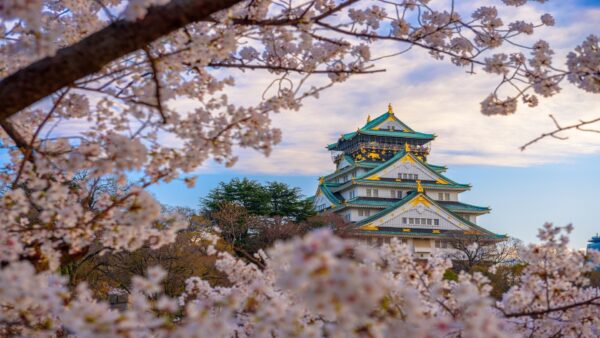 大阪を旅して春を感じよう：桜の名所ガイド