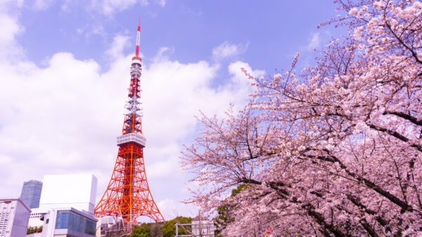 東京での7日間:現代と伝統の日本を巡る旅