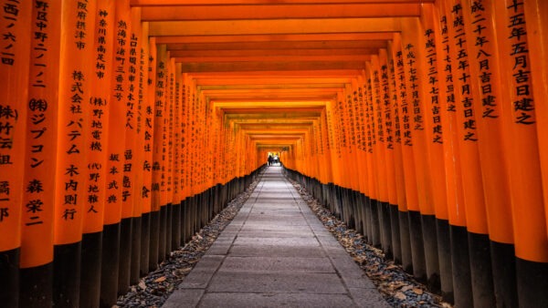 京都で過ごす7日間:究極の没入体験