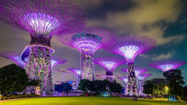 싱가포르에서의 5일: 문화, 요리, 최첨단 관광 명소의 조화