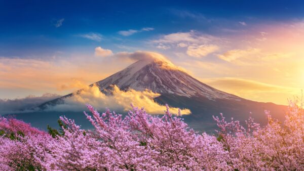 静岡から富士山を探るシーズンガイド