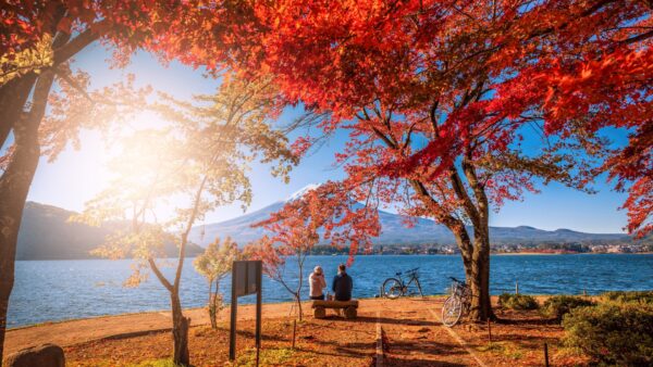富士河口湖3日間の旅 &#8211; 絶景、文化、平穏を楽しもう